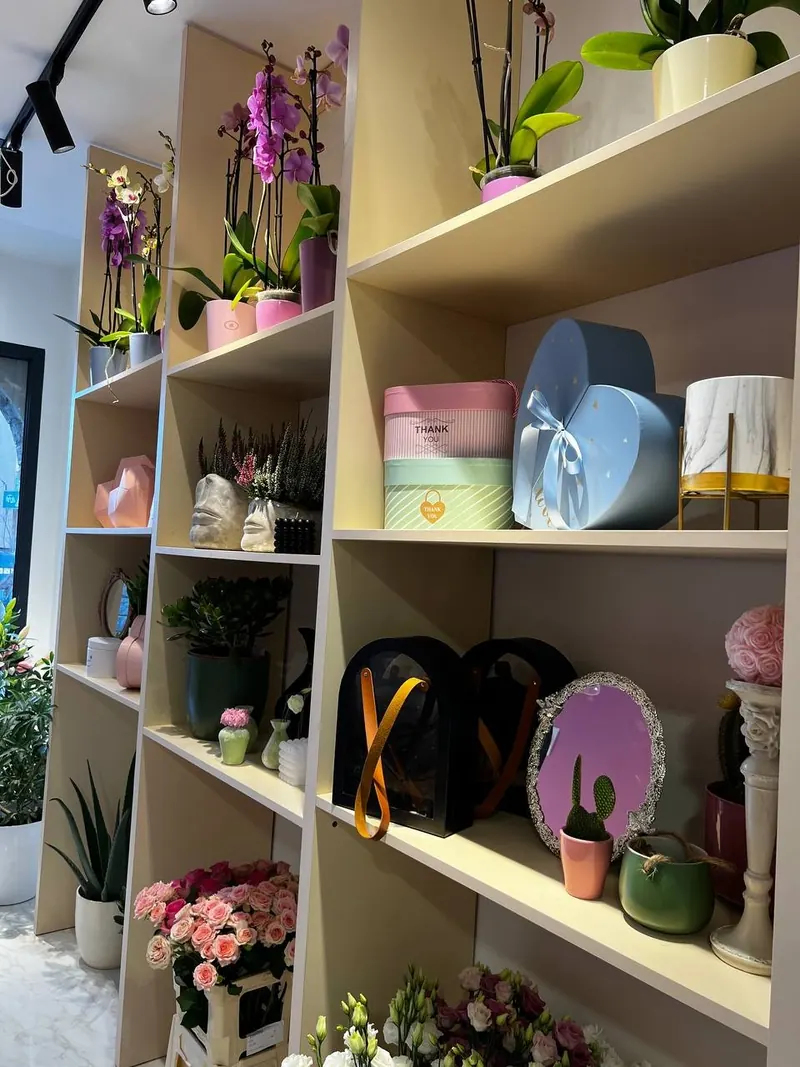 Shop shelves with orchids, gift boxes, vases and small plants